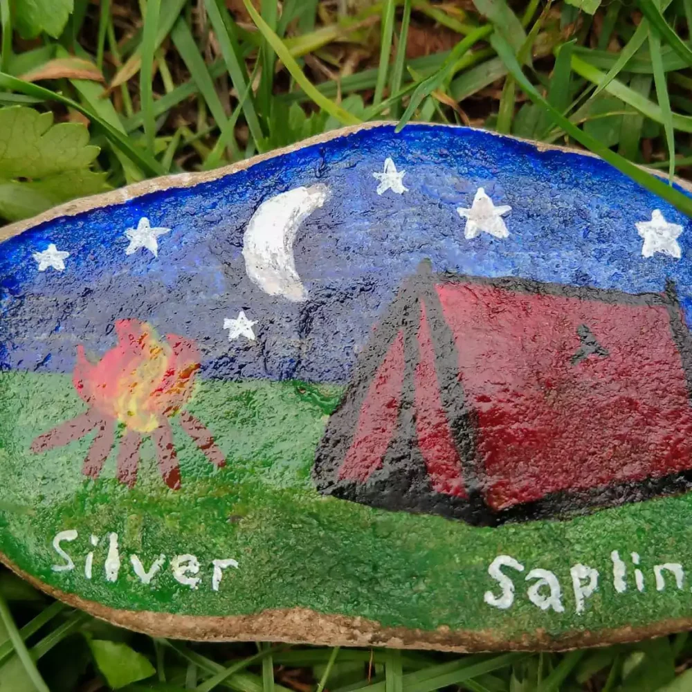 Silver Sapling Site 01
